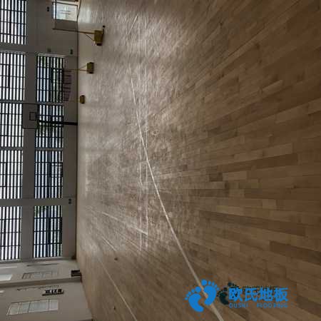 學(xué)?；@球館地板木紋型