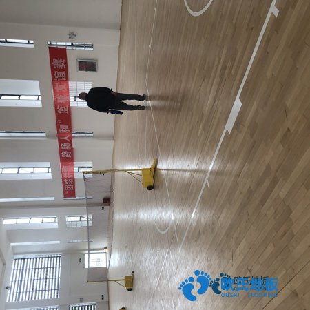 學(xué)?；@球館地板木紋型