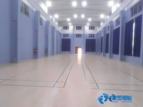 學(xué)?；@球館地板沖擊測試