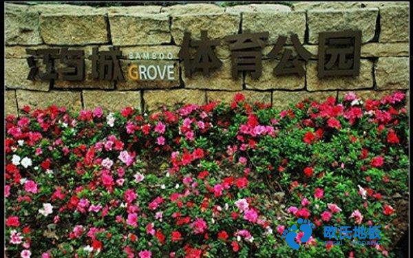 學(xué)?；@球場(chǎng)地地板反彈力